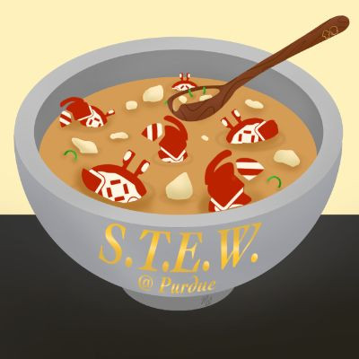 STEW.jpg