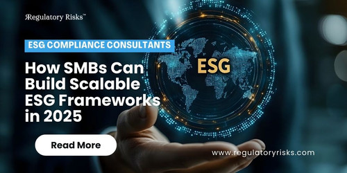 ESG Compliance Consultants: Scalable Frameworks for SMBs in 2025.jpg