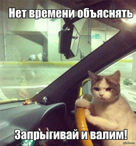 Yx4YwJcRlQdn6Q5EMHyD6O04eOl0h1LxUJqzMYr YIatGZ7fZnD52U93VlLlhPolNczX5ppVszMWkwoMVPLMB1 rCzVKlP79aOuU.jpg
