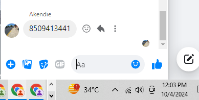 ss10.png