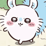 IMG 4434.gif