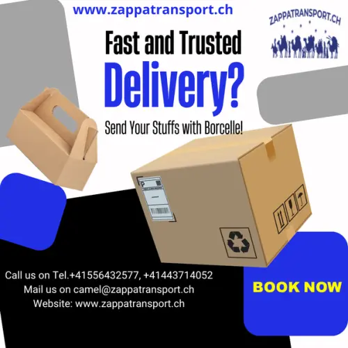 main qimg 2816d5f470c049cc5699d0f8f70ac929.webp