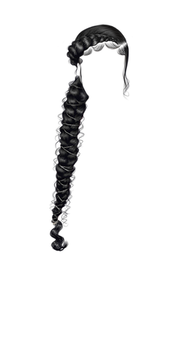 IMG 8853.png