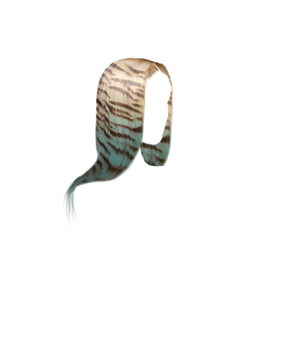 Untitled25 20241004182643.png