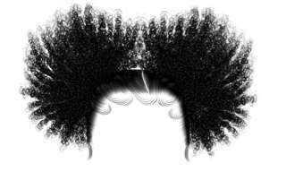 IMG 7214.png