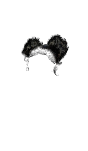 Space bun.png