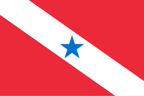 Bandeira do Pará.svg.png