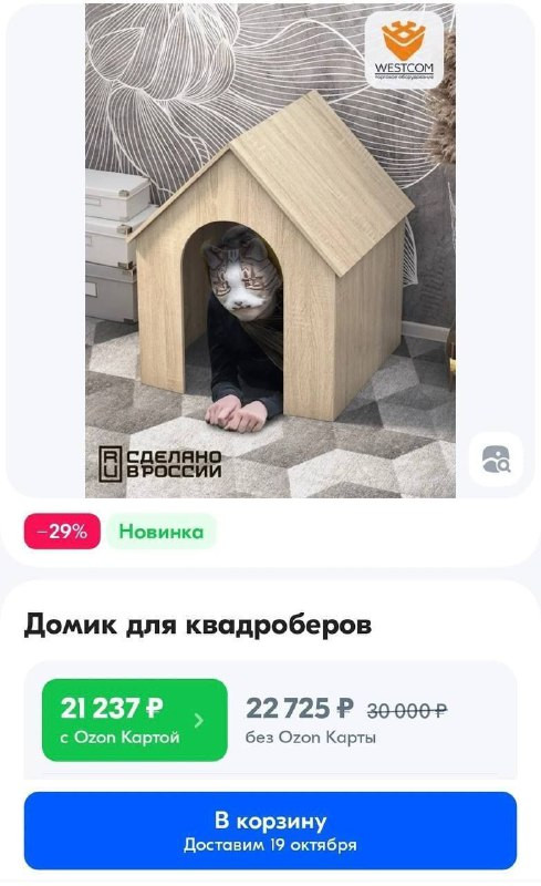 tpoqESY7dShBEkvdAt3W1HW64fb5ga0qprGyrQ2PBXps1NyAzo6yHnJvLMSOJCX94en967sJAULG rT6wlqHWtOtXXqBrqCGai4P.jpg