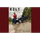 source.png