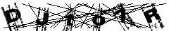 test.jpg