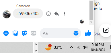 ss5.png