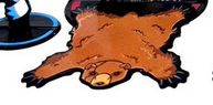 firefox AxOkkYeHpk.png
