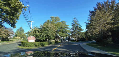 IMG 9810.jpg