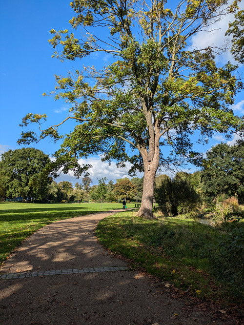 Spinney Hill Park Leicester . Thursday, October 3, 2024