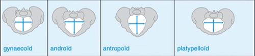 1f03057bbc8f.png
