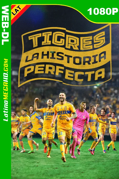 Tigres La Historia Perfecta (Serie) Temporada 1 (2024) Latino HD AMZN WEB-DL 1080P