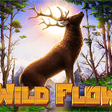 SGWildFlow EN 625x468