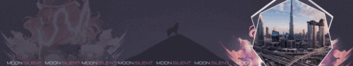 Moon Silent 23.gif
