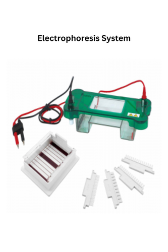 Electrophoresis System.png