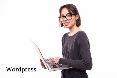 Wordpress Development Company.jpg