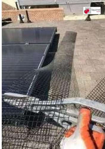 Pigeon Guards: A Must-Have for Solar Panel Maintenance.jpg