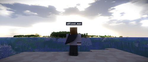 Wallaper Bloxd.png