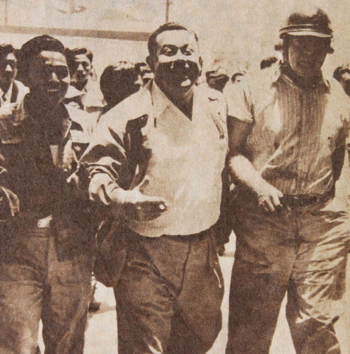 12622216 817319248378579 6523379816237402895 o.jpg