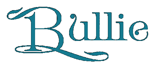 Bullie 8 9 2024.gif