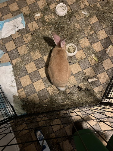 9CB83436 F1FC 4279 89F3 FCF3CA5A35AD