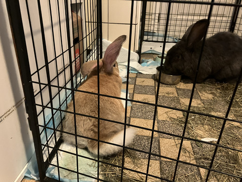 7BBB598F BEB4 4FD5 AC41 88C62EF4FF43