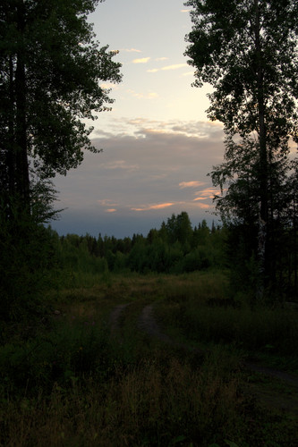 DSC 0042.jpg