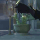 ezgif 4 358c9a9c41.gif