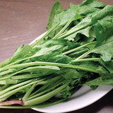 spinach2406