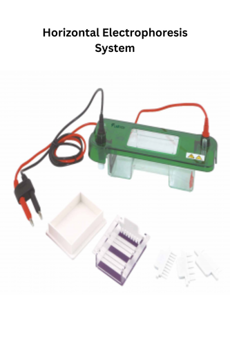 Horizontal Electrophoresis System.png