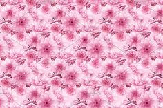 image 2024 08 09 000724883.png