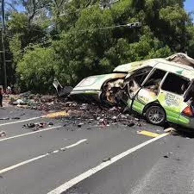 Avacado14.jpg