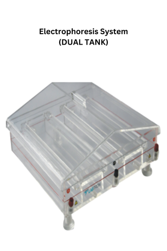 Electrophoresis System (DUAL TANK).png