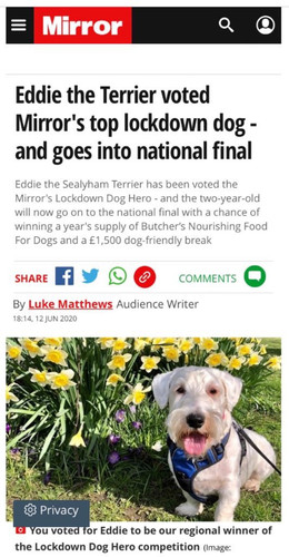 GWjS yXXIAEbZKv?format=jpg.jpg