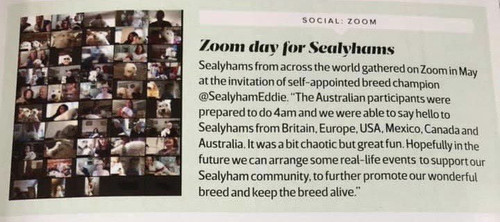 GWjS yXWwAYziAj?format=jpg.jpg