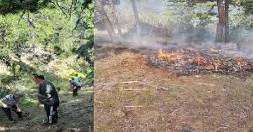 2888611332659223372?url=https%3A%2F%2Falbeu.com%2Fwp content%2Fuploads%2F2024%2F09%2FIMG 5864.jpeg&f.jpg