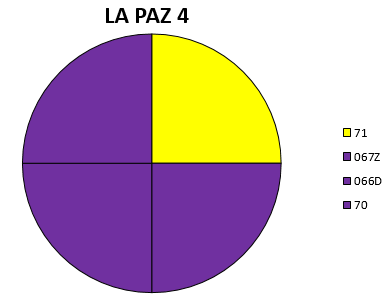 PAZ 4.png