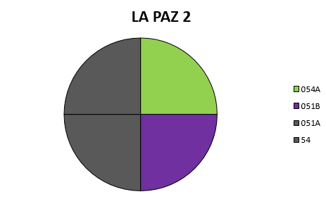 PAZ 2.png