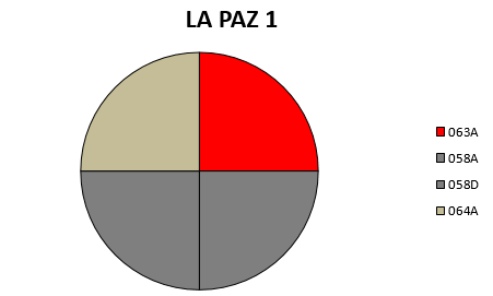 PAZ 1.png