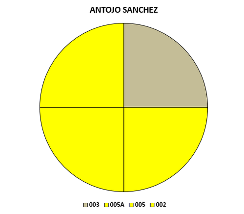 ANTOJO SANCHEZ 28.png
