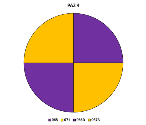 PAZ 4 28.png