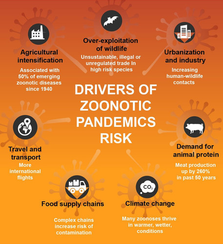GWkud5AXcAA tPI?format=jpg.jpg