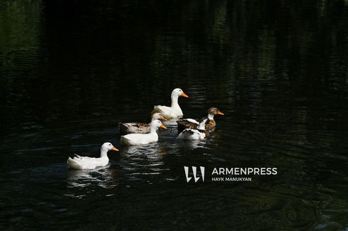 457748221 918419553662208 1727917774268434874 n.jpg?stp=dst jpg p526x395& nc cat=108&ccb=1 7& nc sid.jpg