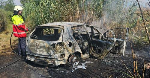 17464958806177990654?url=https%3A%2F%2Ffieriweb.com%2Fwp content%2Fuploads%2F2024%2F09%2FIMG 8463.jp.jpg