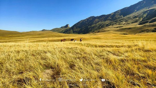 458172983 1044918860355544 8280121680276232222 n.jpg?stp=dst jpg s600x600& nc cat=104&ccb=1 7& nc si.jpg