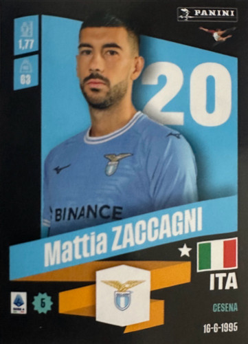239.jpg